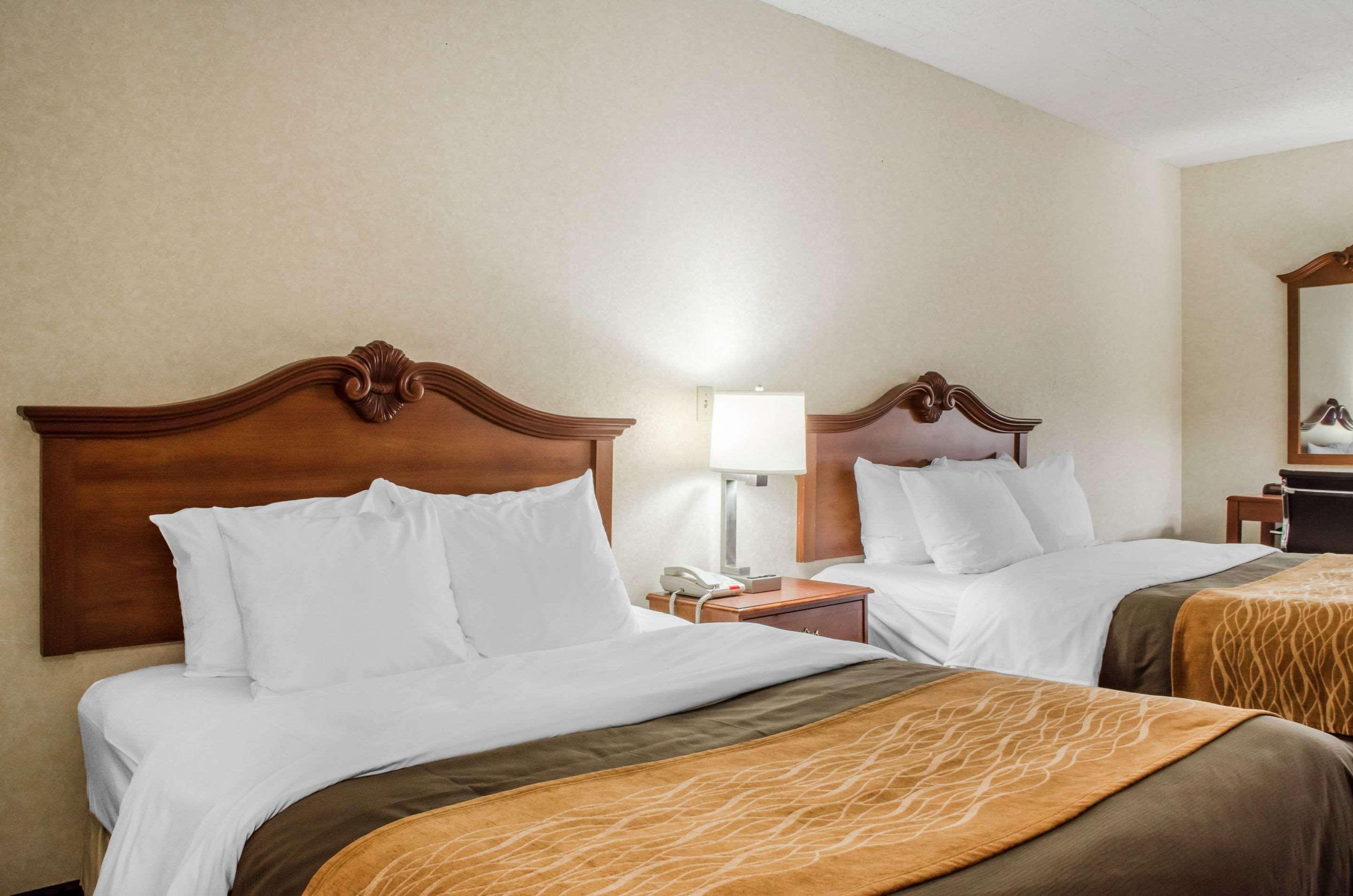Comfort 3*